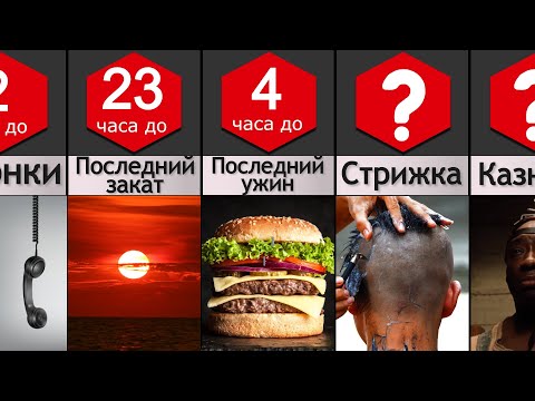 Видео: 24 часа до Смертной Казни