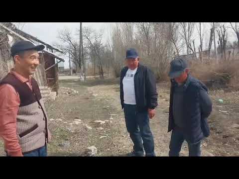 Видео: Тұрпан ауылы көне мектеп. Кластастар 50 жыл бұрынғыны еске алдық
