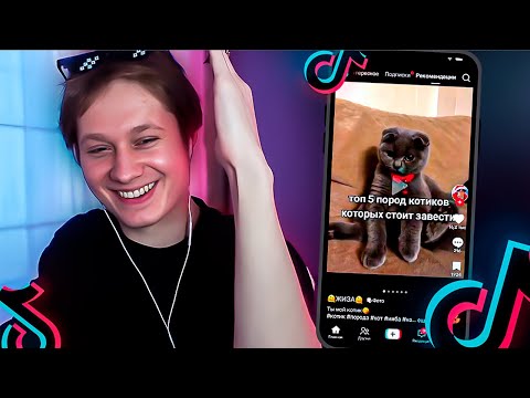 Видео: АНЕК СМОТРИТ ТИКТОКИ