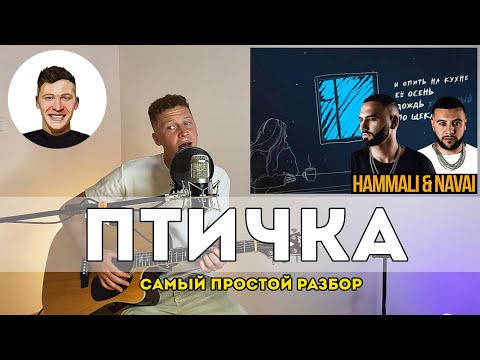 Видео: HAMMALI & NAVAI - Птичка (самый простой разбор)