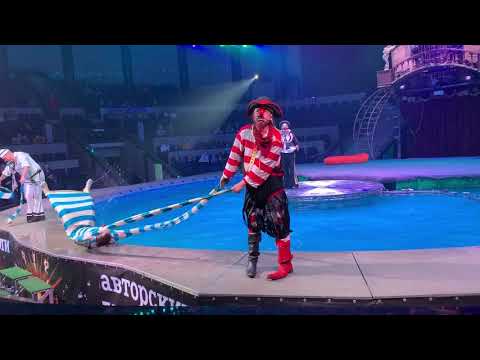 Видео: 24 февраля 2019 г. Цирк на воде Новосибирск