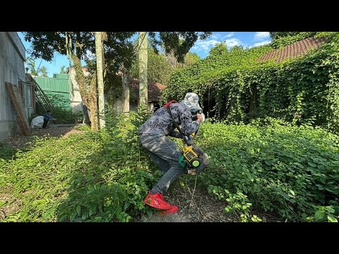 Видео: Исследуйте древний дом женщины, беззащитной перед нашествием сорняков.