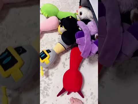 Видео: 14 жовтня 2025 р.