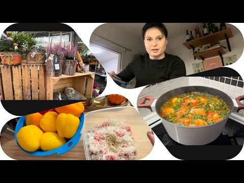 Видео: #65 Vlog🇩🇪 / Присматриваю аквариум / Закупка на 175€ / Готовлю фаршированные перцы 🫑 