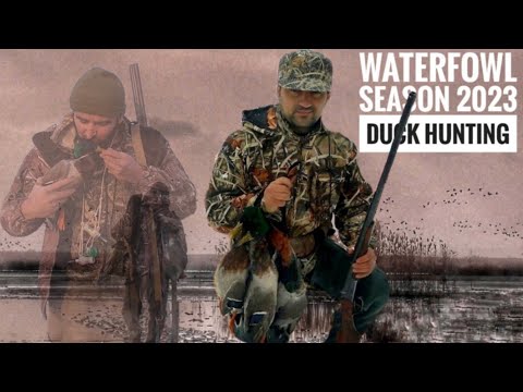 Видео: Ördək ovu, fevral 2023 Duck hunting Охота на уток в феврале 2023