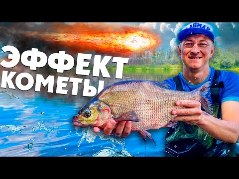 Видео: Наловил 25-КГ ЛЕЩА НА ФИДЕР за 4 ЧАСА! БЕШЕНЫЙ КЛЁВ КРУПНОГО ЛЕЩА! Рыбалка 2020!