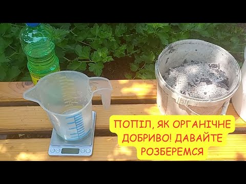 Видео: Попіл на городі — добриво чи отрута? Вся правда + хімія 🧪🌱