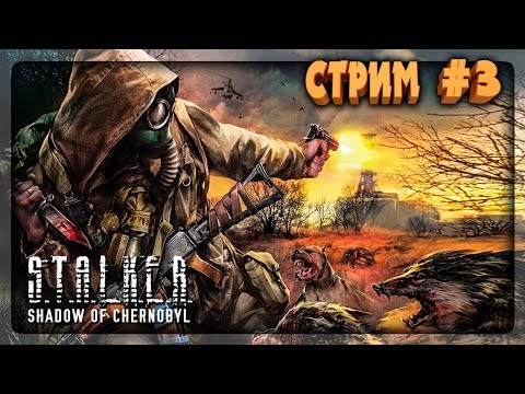 Видео: ПРИБЫЛИ НА ЯНТАРЬ! СТАЛКЕРИМ ПО-ТИХОЙ! 🔴 S.T.A.L.K.E.R.: Shadow Of Chernobyl СТРИМ #3