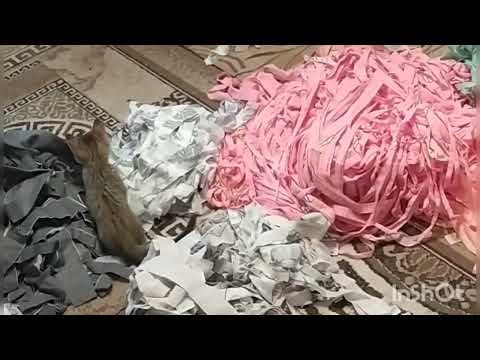 Видео: 24 мая 2024 г.