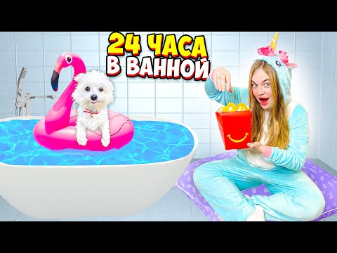 Видео: 24 ЧАСА В ВАННОЙ С СОБАКОЙ | КУПАЕМСЯ В ЦВЕТНОЙ ВОДЕ С ПЕНОЙ