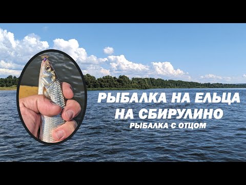 Видео: Рыбалка на Ельца на Сбирулино в компании с отцом.