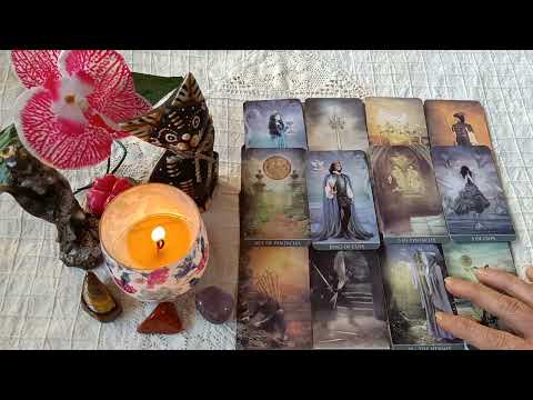 Видео: Как живее той без императрицата🤷