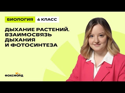 Видео: Дыхание растений. Взаимосвязь дыхания и фотосинтеза | Биология 6 класс | Домашняя школа Фоксфорда