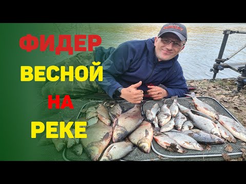 Видео: Рыбалка на фидер весной на реке. Ловим леще и большую плотву.