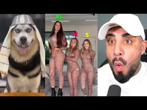 Видео: Реакции Бартмана | Видео Бартмана | веселые видео