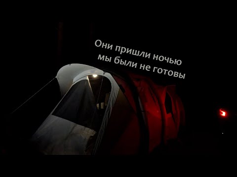 Видео: Дикий ЭКШЕН в походе. Случилось просто все!!! Самое интересное в конце. К такому жизнь не готовила