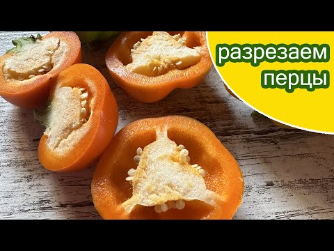 Видео: У перцев стенки есть даже больше 1см  Всеми довольна