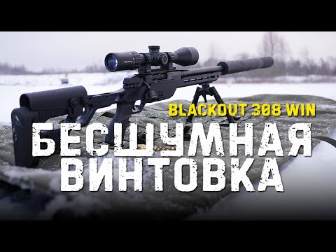 Видео: Злая бесшумная винтовка в 308 WIN | ATA ALR BLACKOUT EDITION