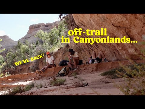 Видео: Сколько арок мы можем найти в этом отдаленном уголке Юты?