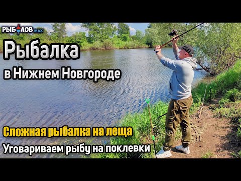 Видео: Рыбалка в мае. Ловля весеннего леща на реке. Лещ на реке Кудьма. Фидер в мае. Майский лещ