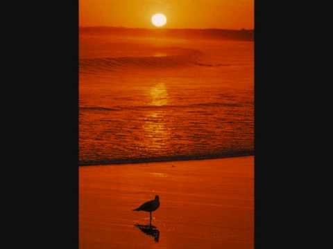 Видео: А. Губин - Солнышко