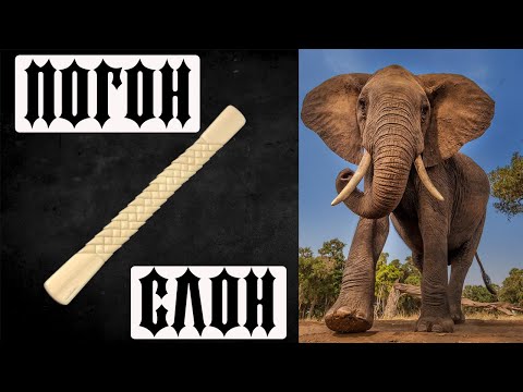 Видео: 📌Четки "Погон" Из слоновой кости 🐘
