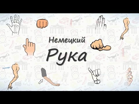 Видео: Рука (тело человека). Слова на немецком