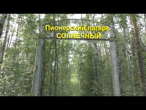 Видео: Заросшая дорога и разрушенный мост на пути к руинам Пионерлагеря "Солнечный".
