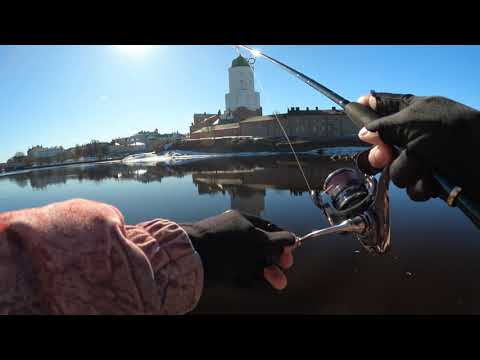 Видео: Рыбалка в Выборге. Выборгский залив, спиннинг, щука. Viipuri street fishing.