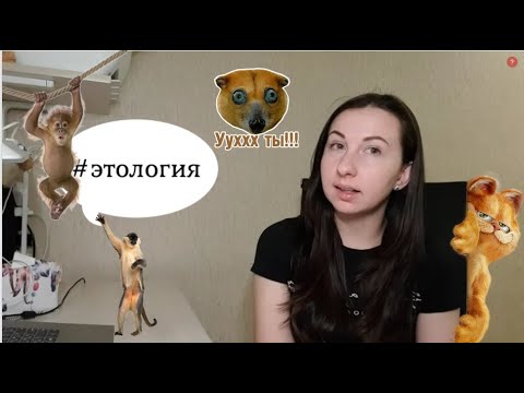 Видео: Биология. Поведение животных. Наука этология.
