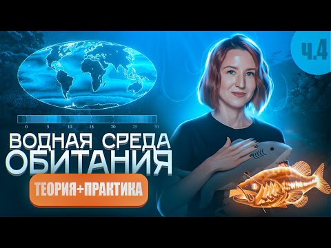 Видео: ВОДНАЯ СРЕДА ОБИТАНИЯ (4/6) | Теплоёмкость и содержание кислорода | ЕГЭ-2025 по биологии