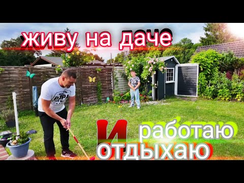 Видео: Живу на даче, много работы. Высаживаю томаты. #усаньканадаче