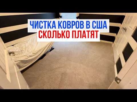 Видео: Как я заработал $ на чистке ковров в Америке | Реальные цифры и работа руками