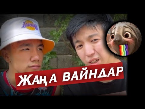 Видео: Жаңа вайндар 😂 | Medet jan |