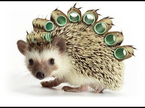 Видео: ПОЛЕЗНО ЗНАТЬ!!! Что делать, если изделие колется ?! Вязание. Рынашко