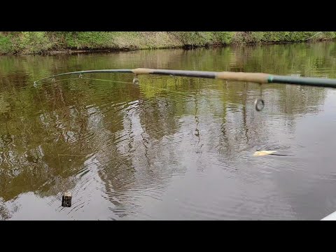 Видео: Рыбалка выше Волховской ГЭС. Река Волхов. Лещ. Фидер. Ловля с лодки.