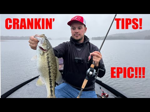 Видео: СОВЕТЫ, КОТОРЫЕ ПОМОГУТ ВАМ ПОймать БОЛЬШЕ ОКУНЯ НА ВОЛОНКИ!! (Секреты, которые я не должен раскр...