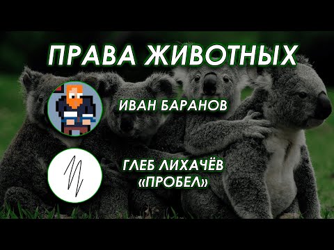 Видео: Обсуждаем моральный статус животных с Глебом Лихачёвым @glebprobel и Иваном Барановым