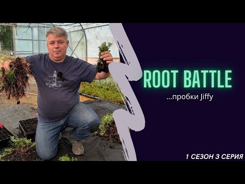 Видео: ROOT BATTLE …пробки Jiffy