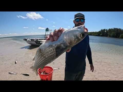 Видео: Холодный фронт на Флориду накатился… Всё ещё ловим сеткой, как будто сейчас лето