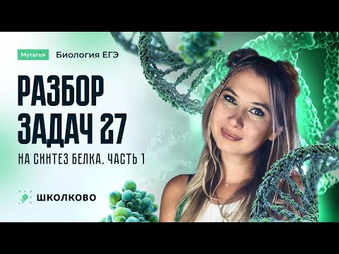 Видео: Разбор задач 27 на синтез белка.Часть 1 | Подготовка к ЕГЭ 2026 по биологии