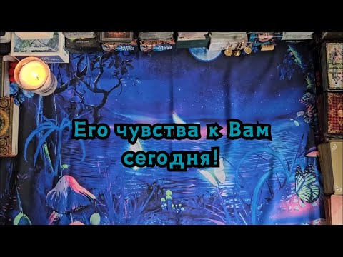 Видео: Его чувства к Вам сегодня!🔮🦋✨️❤️‍🔥☘️🪬