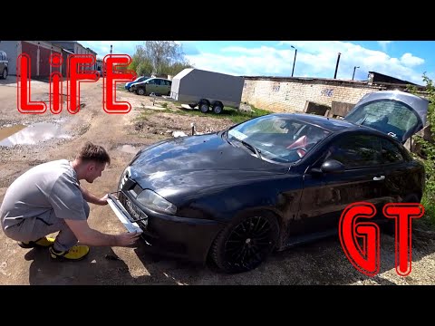 Видео: Чем Альфисты занимаются в выходной LiFE