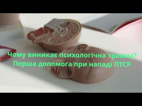 Видео: Чому виникає психологічна травма. Що таке завмирання. Як допомогти при панічній атаці при ПТСР.