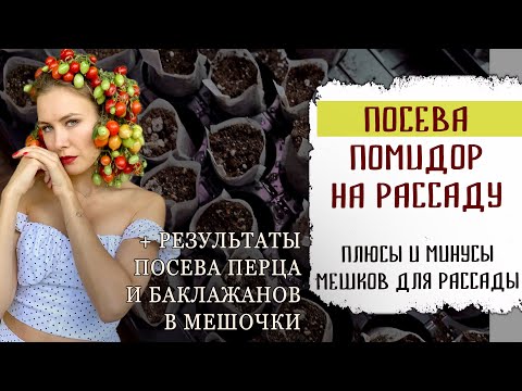 Видео: Посев томатов на рассаду. Плюсы и минусы выращивания в мешочках. Результаты посева перца и баклажан.