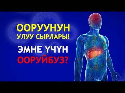 Видео: Эмне үчүн ооруйбуз?