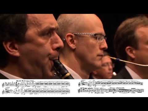 Видео: 5 лучших кларнетовых соло/ 1 часть | Best clarinet solo in orchestra