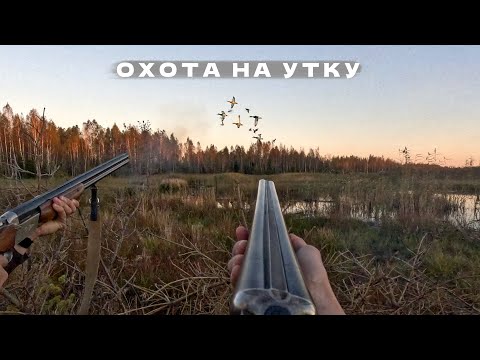 Видео: Осенняя охота на УТКУ! Скромная добыча и великолепные закаты.