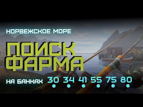 Видео: Фарм на 34-ой Банке • Как ловить на пилкер •  Русская Рыбалка 4 • Норвежское Море. 850+ за час