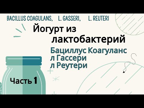 Видео: Йогурт из Лактобактерий Bacillus Coagulans, L. Gasseri, Реутери L. Reuteri. Полезные мелочи. Часть 1